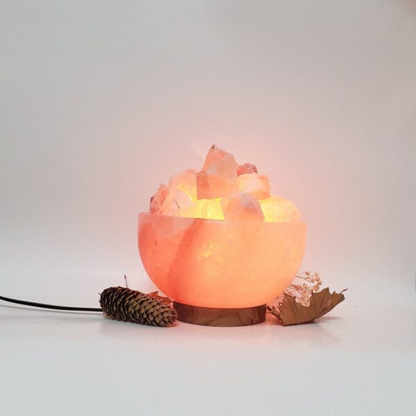 Prosperity Bowl Fire Lamp 4