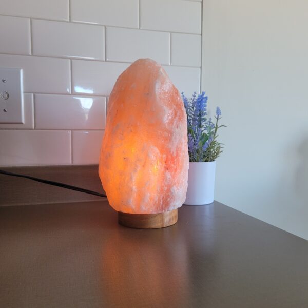 Salt Lamp large